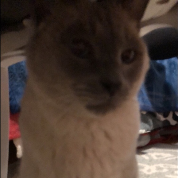 trade post - Picture 1 of 1